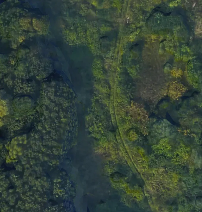 Fire Thermal Imaging Monitoring