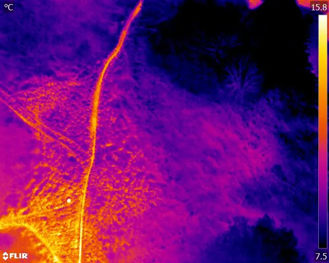 Grain Store Explosion and Fire Thermal Monitoring